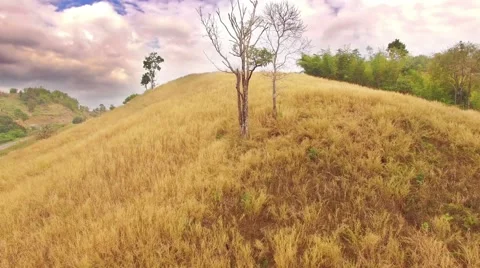 Empty farming area Video stock 62242449