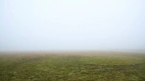 Empty farming field covered with dense fog Stock Footage 173001913