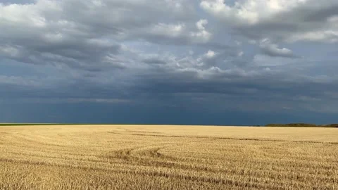 On the empty field after harvesting in sunny day before storm. Stock Footage 136588913