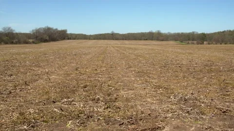 An empty field on a farm. 4k60p Stock Footage 132448365