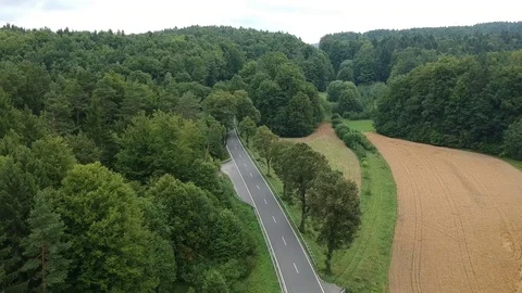 An empty field in the forest Stock Footage 114982671