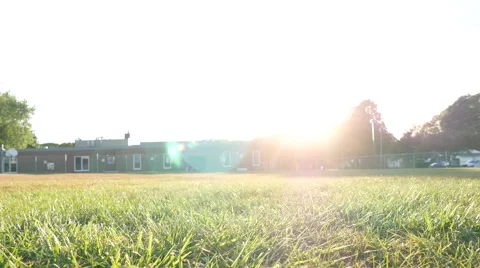 Empty field at golden hour Stock Footage 58119984
