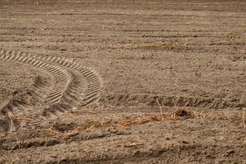 Empty field with tractor traces. Stock Photos