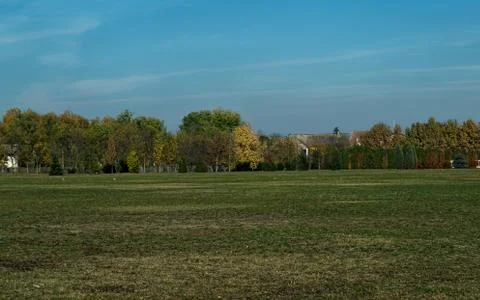 Empty field with trees during autumn time... Stock Photos