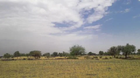 Empty field without crop and with weed and cloudy sky in India Stock Photos