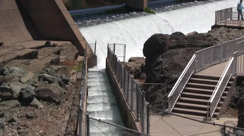 Empty fish ladder at the end of the salmon run Stock Footage