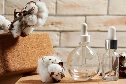 Empty flasks for cosmetics liquids with cotton branches and buds Stock Photos