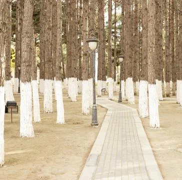 An empty floor in a city park Stock Photos