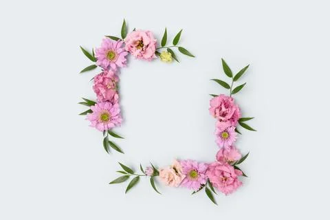 Empty flower frame made of pink eustoma on blue background. Stock Photos