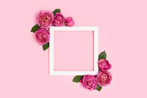 Empty flower frame made of rose on a pink pastel background. Stock Photos