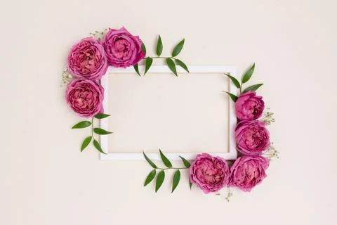 Empty flower frame made of rose on a beige background. Stock Photos