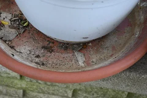 Empty Flower Pot Base Close-Up, Gardening Preparation Concept Stock Photos