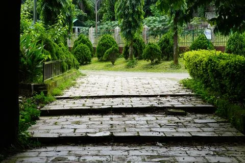 Empty footpath amidst trees in park, stone steps in the garden. Stock Photos