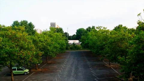 The empty forest car park 스톡 동영상 93278116