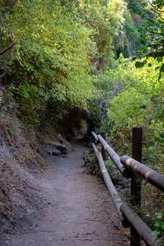 Empty forest hiking footpath trail in Autumn. Photos