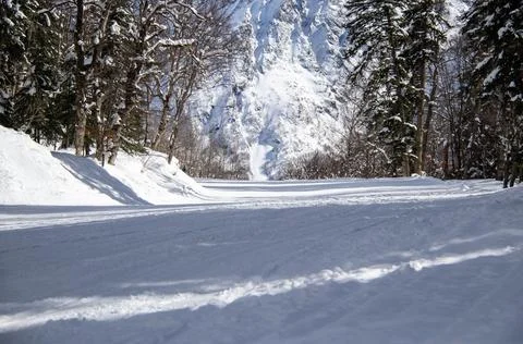 Empty forest ski slope on a sunny day Stock Photos