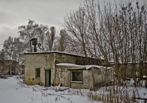 Empty forestry area Stock Photos