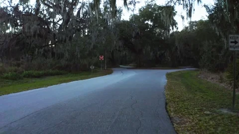 Empty forked road surrounded by dense trees with hanging moss Stock-Footage 333186754