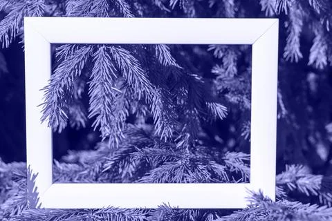 An empty fotoframe on a background of spruce branches with a place to copy, p Stock Photos