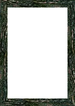 Empty Frame Background With Trunk Edges Stock Illustration