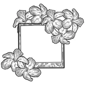 Empty frame with flowers. Blank for text. Sketch scratch board imitation. Stock Illustration