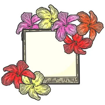 Empty frame with flowers color. Blank for text. Sketch scratch board imitation. Illustrazione stock