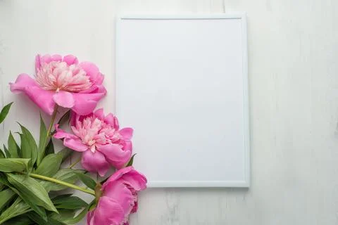 Empty frame with flowers on a light background. It is possible to use both fo Stock Photos