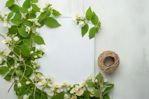 Empty frame with flowers on a light background. It is possible to use both fo Stock Photos