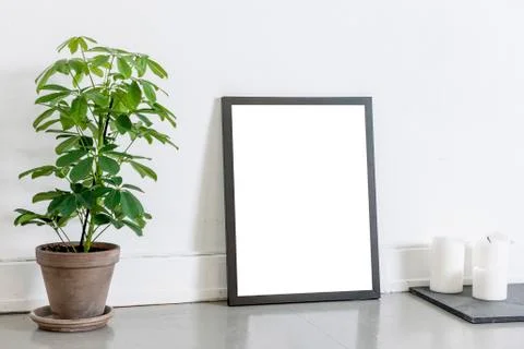 Empty frame Fotos Stock