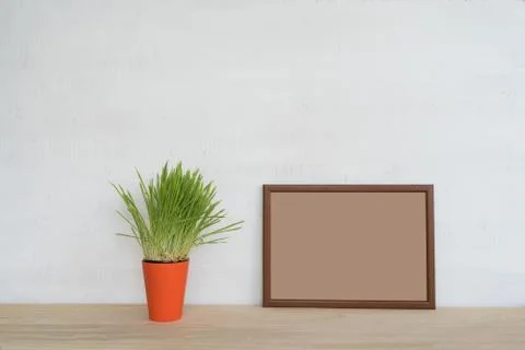 Empty frame on white wall. Place for text, green houseplant. Stock-Fotos