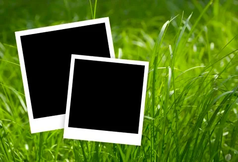 Empty frames with green grasss background Stock Illustration