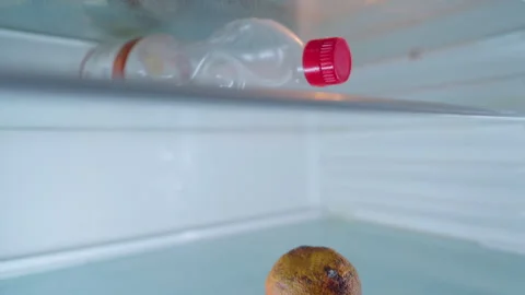 Empty Fridge with Rotten Mandarin and Old Plastic Bottle | Elevator Shot Inside Stock Footage 330430725