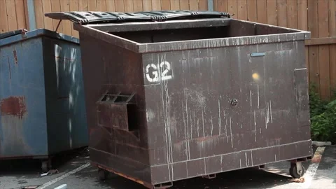 Empty garbage dumpster with lid open and another dumpster behind it, surrounded Stock Footage 247144607