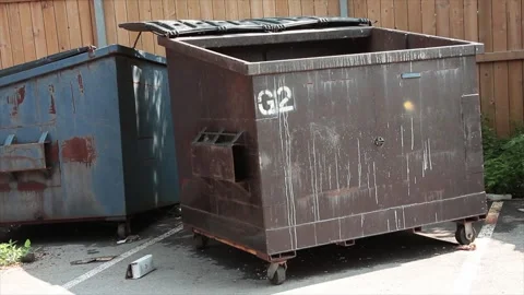 Empty garbage dumpster with lid open and another dumpster behind it, surrounded Stock Footage 247144679