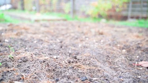 Empty garden bed after harvest close-up, smooth camera movement Stock Footage 235421571