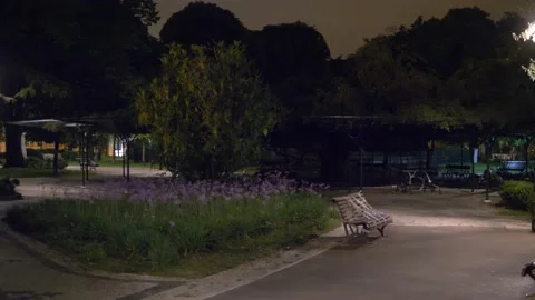 Empty Garden In Lisbon Video stock 204850387