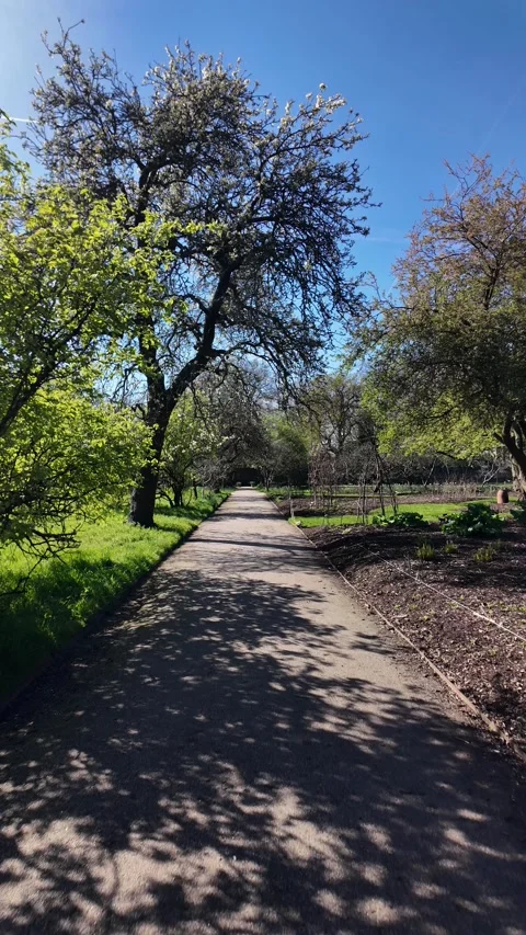 Empty garden path inviting spring walk and nature exploration. vertical video Видео 332712086