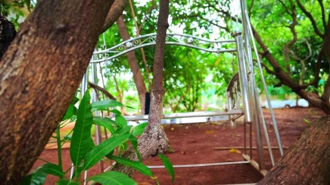 Empty Garden Swing Sways Beside Lush Trees Countryside Stock Footage 310718503
