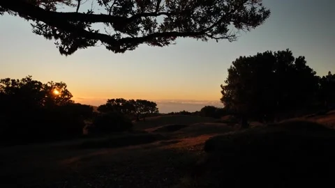 Empty glade at sunset Video stock 202603522