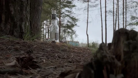An empty glass bottle in the woods. Stockbeeldmateriaal 130430483