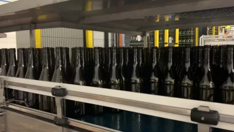 Empty Glass Bottles Are Moving Along The Conveyor Belt Stock Footage 254047086