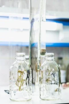 Empty glass bottles on table in laboratory Stock Photos