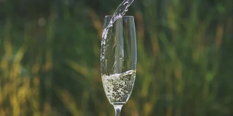 Empty glass is filled with champagne 스톡 동영상 247381703