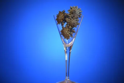 Empty glass. Stock Photos