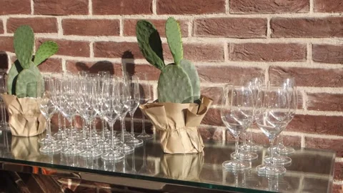 Empty Glasses Are Waiting On The Beautiful Table Next To The Cacti. On The Backg Stock Footage 151387016