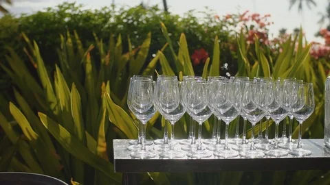 Empty glasses for shampagne on the table on the background of green plants Stock Footage 101117140