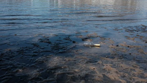 Empty gold trimmed bottle seen in river mud near the shore. Stock Footage 173204477