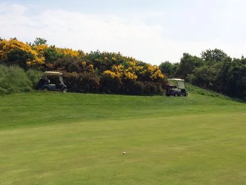Empty golf carts stand on the lawn of a private golf club 스톡 사진