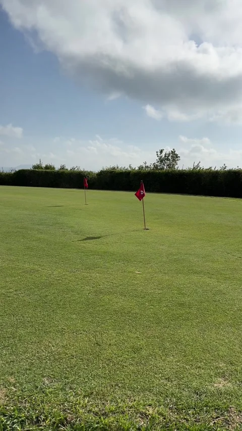 Empty golf field on sunny windy day, vertical footage Stock Footage 262543524