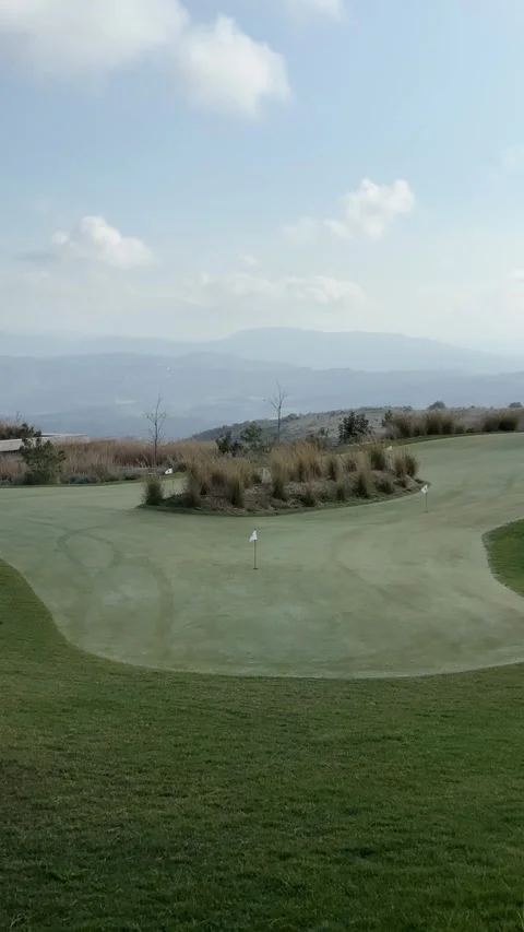 Empty golf field on sunny windy day, vertical footage Stock Footage 262543526